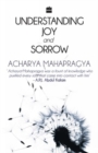 Image for Understanding Joy And Sorrow