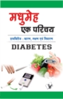 Image for Madhumeh Ek Parichay : Diabetes : Karan, Lakshan Evam Nivaran