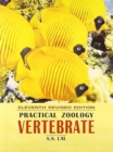 Image for Practical Zoology : Vertebrate