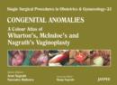 Image for Single Surgical Procedures in Obstetrics and Gynaecology: Volume 32: Congenital Anomalies : A Colour Atlas of Wharton&#39;s, McIndoe&#39;s and Nagrath&#39;s Vaginoplasty