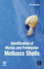 Image for Identification of Marine and Freshwater Molluscs Shells