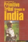 Image for Development of Primitive Tribal Groups In India