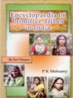 Image for Encyclopaedia of Primitive Tribes In India, Vol.2
