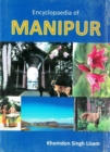 Image for Encyclopaedia of Manipur, Vol. 2