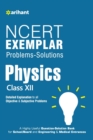 Image for Ncert Examplar Physics Class 12th