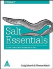 Image for Salt Essentials -