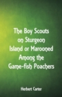Image for The Boy Scouts on Sturgeon Island : Marooned Among the Game-fish Poachers