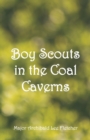 Image for Boy Scouts in the Coal Caverns