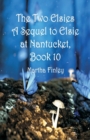 Image for The Two Elsies A Sequel to Elsie at Nantucket, Book 10