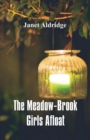 Image for The Meadow-Brook Girls Afloat