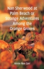Image for Nan Sherwood at Palm Beach : Strange Adventures Among The Orange Groves
