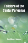 Image for Folklore of the Santal Parganas