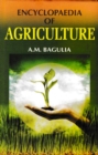 Image for Encyclopaedia Of Agriculture (Elements Of Agriculture)