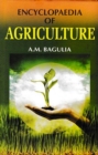 Image for Encyclopaedia Of Agriculture (Agriculture: Crop Production)