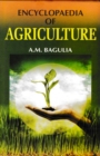 Image for Encyclopaedia Of Agriculture (Agriculture: Soil And Water)