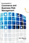 Image for Encyclopaedia of Commerce and Business Risk Management Volume-2 (Financial Risk Management)