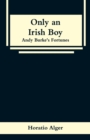 Image for Only an Irish Boy : Andy Burke&#39;s Fortunes