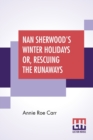 Image for Nan Sherwood&#39;s Winter Holidays Or, Rescuing The Runaways