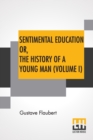 Image for Sentimental Education Or, The History Of A Young Man (Volume I)