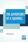 Image for The Adventures Of A Squirrel
