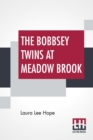 Image for The Bobbsey Twins At Meadow Brook