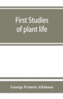 Image for First studies of plant life