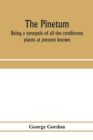 Image for The pinetum