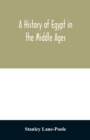 Image for A history of Egypt in the Middle Ages