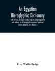Image for An Egyptian hieroglyphic dictionary : with an index of English words, king list and geological list with indexes, list of hieroglyphic characters, Coptic and Semitic alphabets, etc. (Volume I)