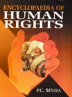 Image for Encyclopaedia of Human Rights Volume-4