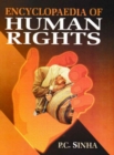 Image for Encyclopaedia of Human Rights Volume-5