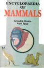 Image for Encyclopaedia of Mammals
