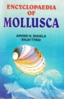 Image for Encyclopaedia of Mollusca (Evolutionary Molluscs)