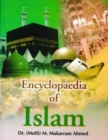 Image for Encyclopaedia Of Islam (Concept Of Almighty)