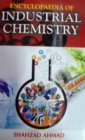 Image for Encyclopaedia Of Industrial Chemistry Volume-1