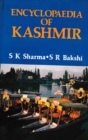 Image for Encyclopaedia of Kashmir Volume-2 (Kashmir Art, Architecture and Tourism)