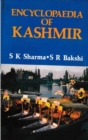 Image for Encyclopaedia of Kashmir Volume-5 (Kashmir-The Constitutional Status)