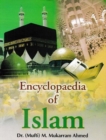 Image for Encyclopaedia Of Islam (Social Institutions In Islam)