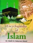 Image for Encyclopaedia Of Islam (Islamic Economy)