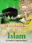 Image for Encyclopaedia Of Islam (Islamic Polity)