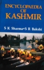 Image for Encyclopaedia of Kashmir Volume-9 (Kashmir Society and Culture)