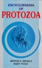 Image for Encyclopaedia of Protozoa (Life of Protozoa)