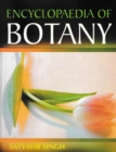 Image for Encyclopaedia of Botany