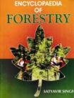 Image for Encyclopaedia of Forestry