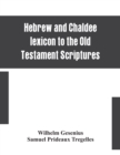 Image for Hebrew and Chaldee lexicon to the Old Testament Scriptures; translated, with additions, and corrections from the author&#39;s Thesaurus and other works