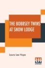 Image for The Bobbsey Twins At Snow Lodge