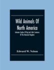 Image for Wild Animals Of North America, Intimate Studies Of Big And Little Creatures Of The Mammal Kingdom