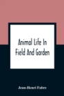 Image for Animal Life In Field And Garden
