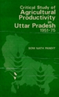 Image for Critical Study of Agricultural Productivity in Uttar Pradesh 1951-1975