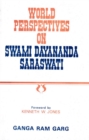 Image for World Perspectives on Swami Dayananda Saraswati